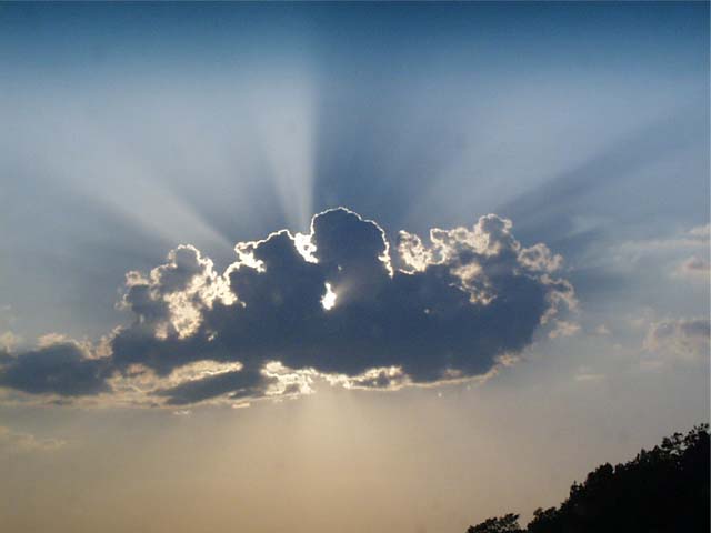 Environmental litigation and expert witness services